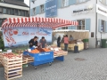 obst am bodensee dornbirn-02