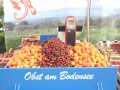 obst am bodensee dornbirn-04