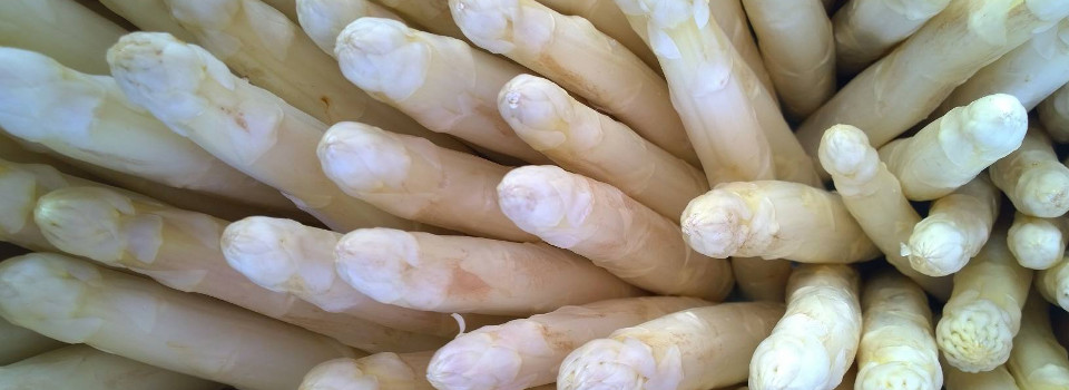 spargel